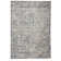 Alissa Oriental Indoor Rug