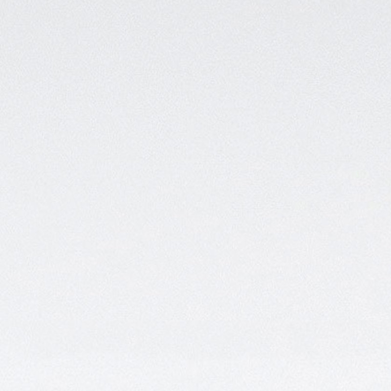 Porte standard à panneaux en bois préfinie, Blanc lisse, 17,75 po x 95,24 po