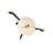 Adaam Handmade Stainless Steel Figurine / Sculpture Decorative Object
