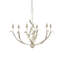 Menefee 6 - Light Chandelier
