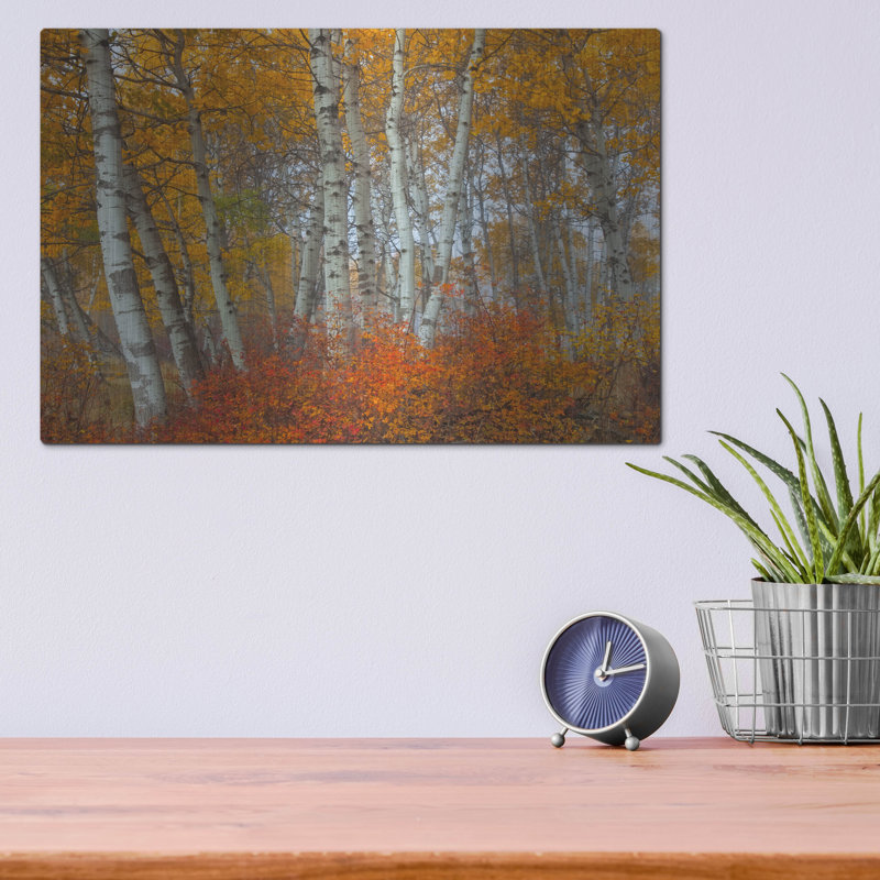 "Morning Aspens" par Jesse Estes, H 12 po x l 16 po