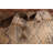 Antique Traditional Runner Rug 4x11