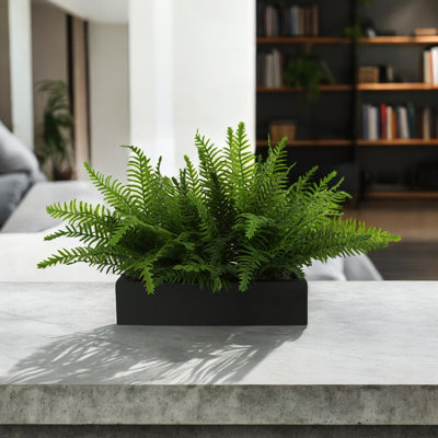 Outdoor UV Rated Fern in Rectangular Planter