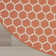 Casie Geometric Reversible Indoor / Outdoor Area Rug in Orange