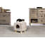 Habitation pour chat 14 "Bojorquez Kitty Power Paws
