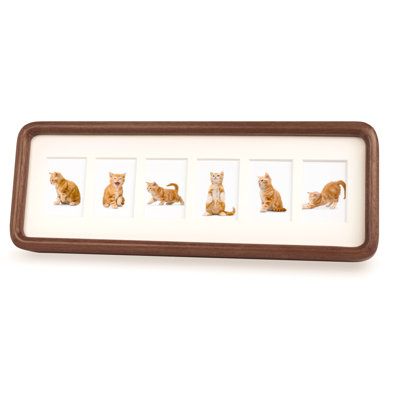 Edrina Wood Beveled Picture Frame