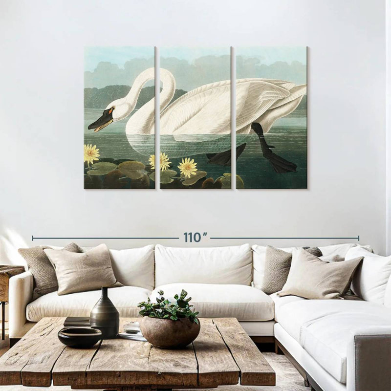 Brampt Common American Swan, 48" H x 74" W