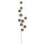 Pine Cone Stem