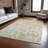 Machine Washable Indoor/Outdoor Amanda ACN2129 Abstract Rug-113865883