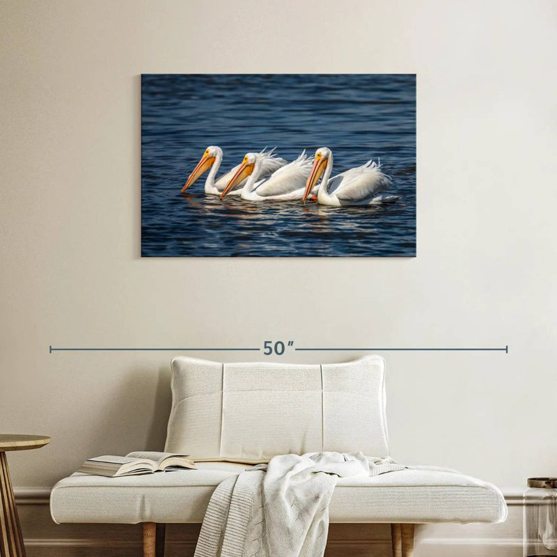 Bramic Ding Darling White Pelicans, H 24 po x l 36 po