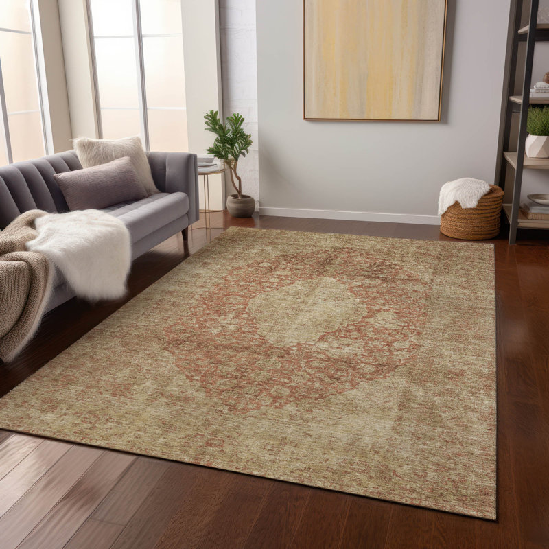 Machine Washable Indoor/Outdoor Cinead ACN1657 Paprika Rug, Rectangle 9' x 12'