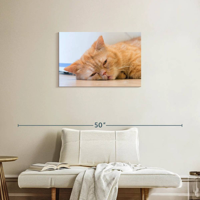 Crowle Sleeping Cat, 20" H x 30" W