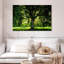 Arbre Harnek-107677809