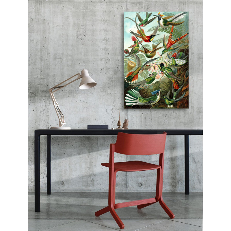 " Haeckel - Bird Study ", 45" H x 30" W, Wrapped Canvas