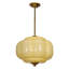 Lanterne suspendue rétro 1 lumière 14,96 po-821931031