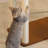 4 Tiers Cat Tree with Condons,Perch,Scratching Posts