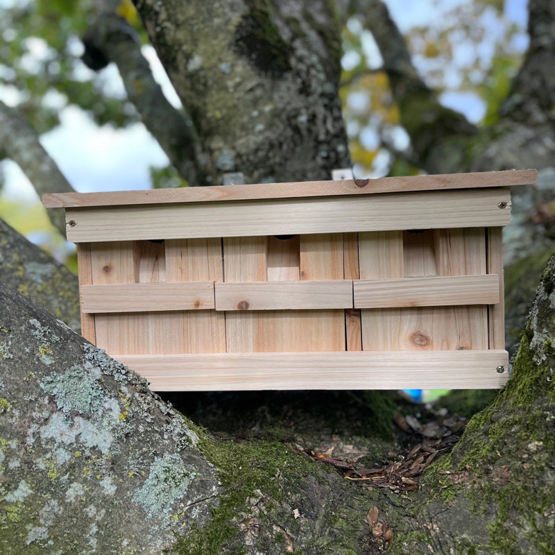 Carwile Traditional Birdhouse