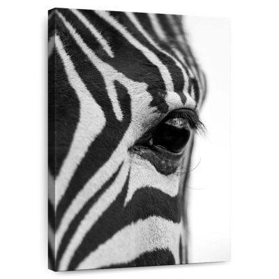 Brampt Close-Up Of A Zebra