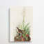 Tawny Thrush - Wrapped Canvas Painting-55358643