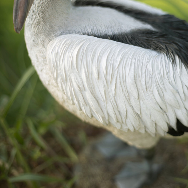 White pelican | Handcrafted Decorative Bird Statue for Home & Garden | Premium Polyresin, Weather-Resistant Indoor/Outdoor Decor