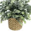Faux eucalyptus artificiel en pot de ciment doré
