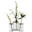 Vase de table Dacion-1379792691