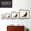Pheasant Splash 4 - Reproduction encadrée - Restickable-768178248-768178249