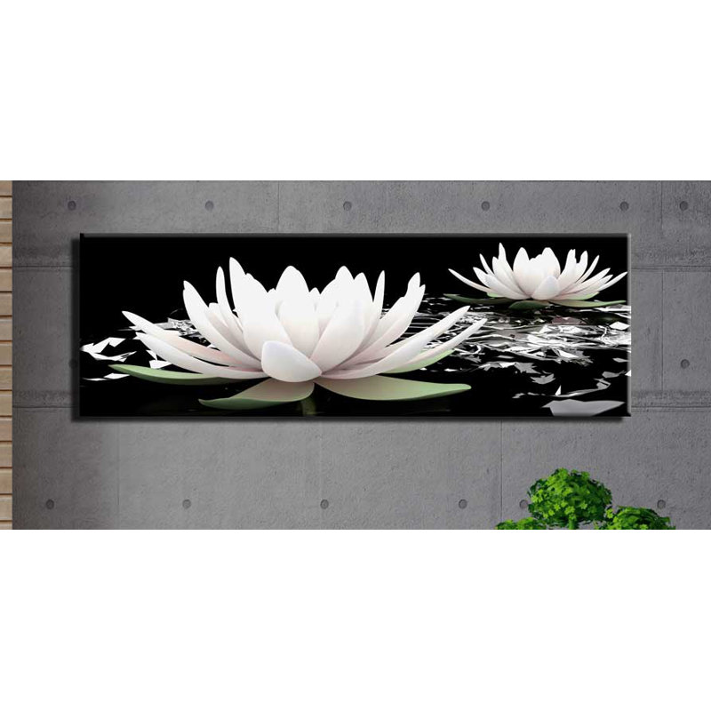 Print on Canvas, 50cm H x 150cm W
