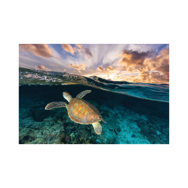 Be Free by Jordan Robins - Print on Canvas, 101.6 cm H x 66.04 cm W x 1.91 cm D, No Framed