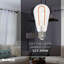 LED Curved Filament Pack of (4) 3 Watt Dimmable ST18 Light Bulbs with Medium (E26) Base