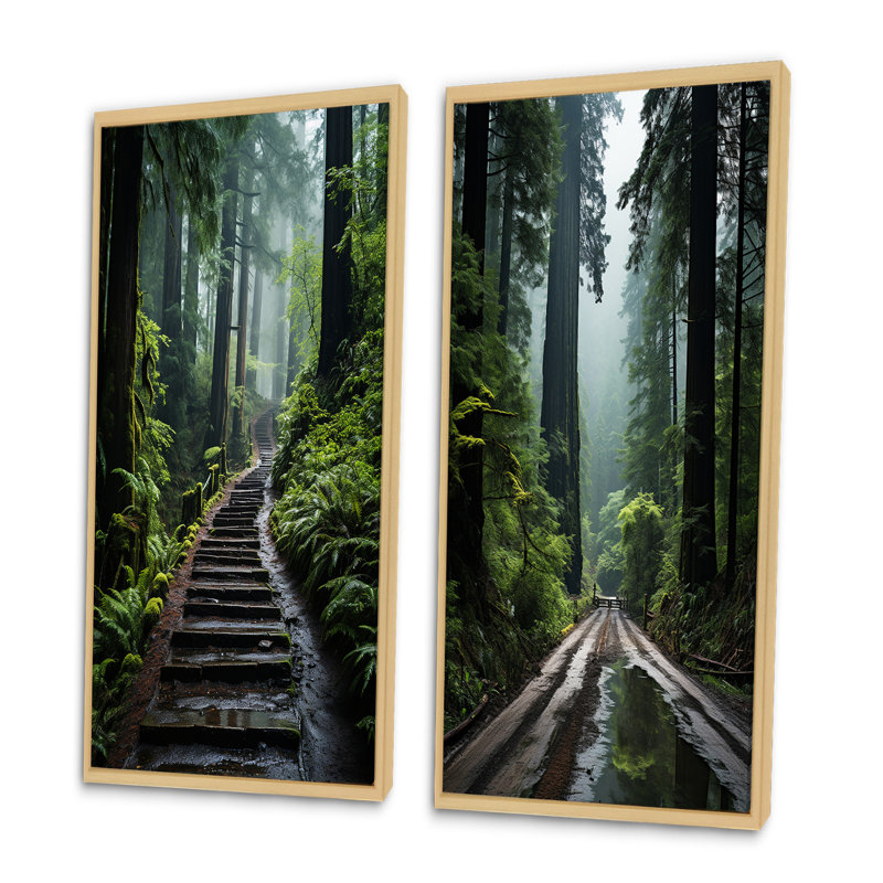 «USA Jedediah Smith Redwoods Forest», 2 pièces, Encadrement brun, H 40 po x l 40 po