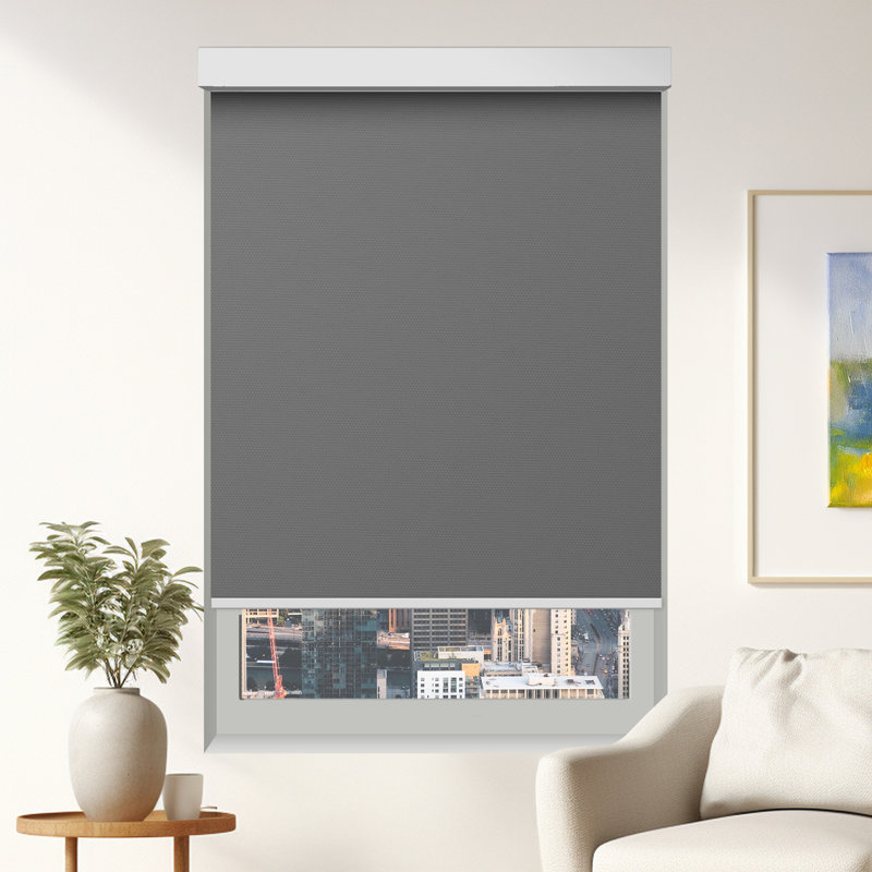 Matte Canvas Chainless Privacy Shade, Gris foncé, 52''W x 84''L