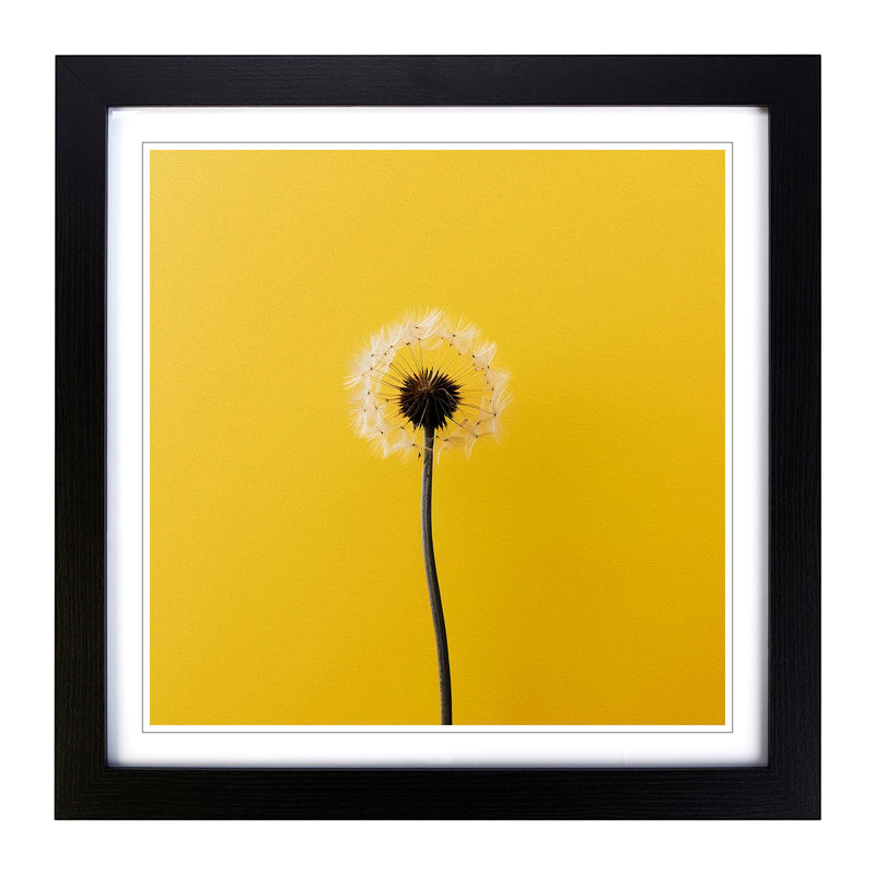 Dandelion Minimalism - Framed Print, Black