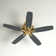 Franson 56'' Ceiling Fan