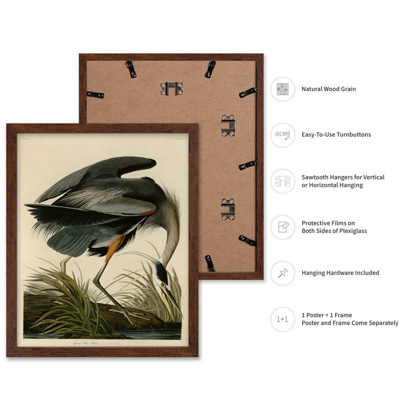 John James Audubon - Grand héron bleu, Poster, 12"H x 16"W, Brown Framed