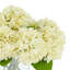 Hydrangea in Vase-344944361