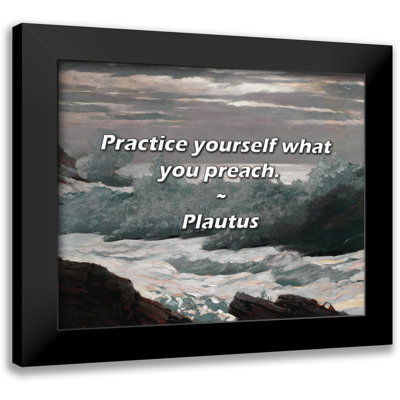 Plautus Quote: Practice yourself what you preach.