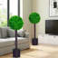 60 cm H Faux Boxwood Tree Plant in Cement Freestanding  Planter