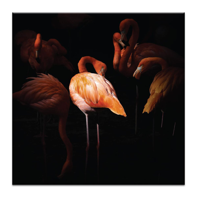 Photographers Lane - Wrapped Canvas Print, 102cm H x 102cm W