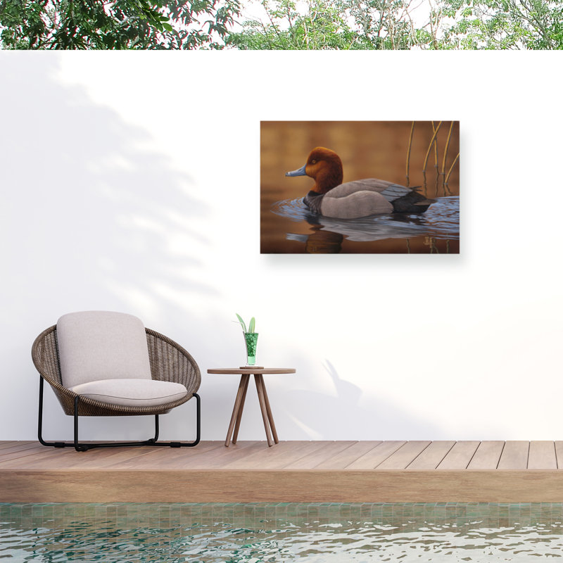Toile d'extérieur Jeff Hoff Redhead Duck, H 12 po x l 19 po
