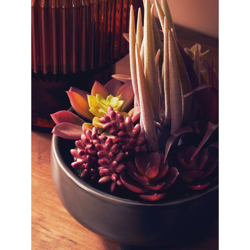 Fiori 24cm Faux Succulent in Ceramic Pot