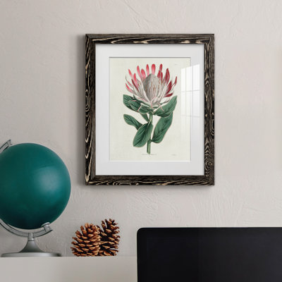 Protea N13 - Peinture encadrée