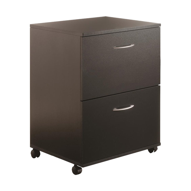 18.6'' Wide 2 -Drawer Mobile File Cabinet, Black