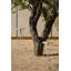 Anakie Powder Coated Steel Outdoor Stool-57902281