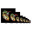 Boho Nautilus Shell 247 - impression sur toile tendue-1121330778