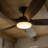 54'' Dimmable Ceiling Fan With Lights And Remote Control, 3CCT Reversible DC Motor, 6-Speed Timer Ceiling Fan