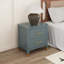 Pratts 50 cm W Bedside Table-1609745860