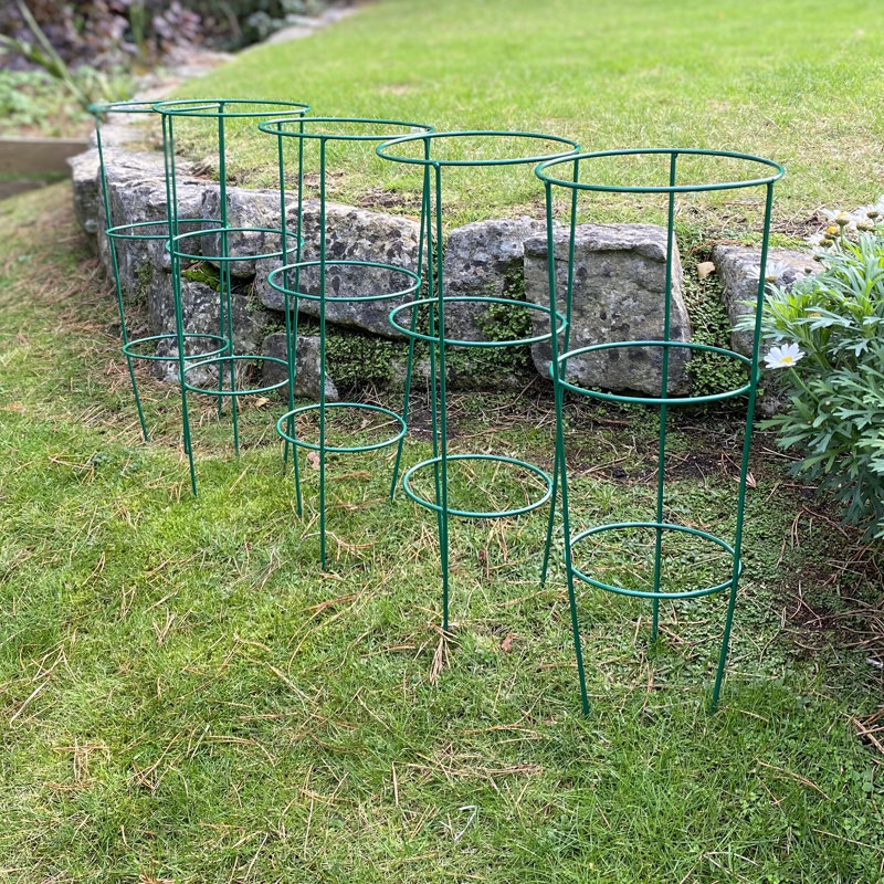 Aieden Metal Weather Resistant Plant Support, 48 x 20 x 18 cm