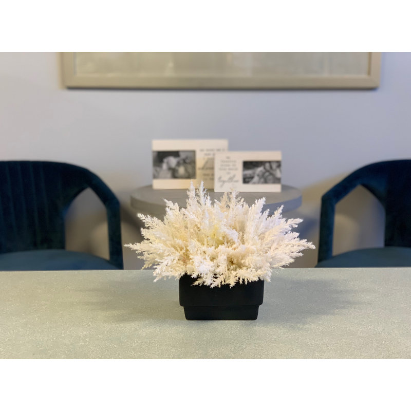 Arrangement floral Pampas dans un vase, H 13 po x l 16 po x P 16 po, Noir / blanc