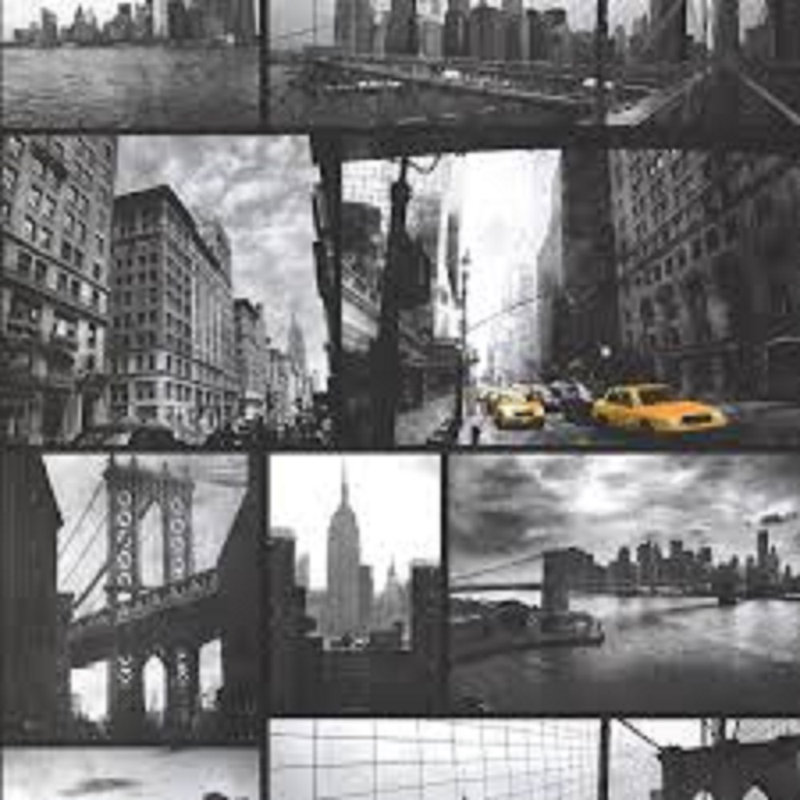 Judah 10m x 53cm Matte Wallpaper Roll